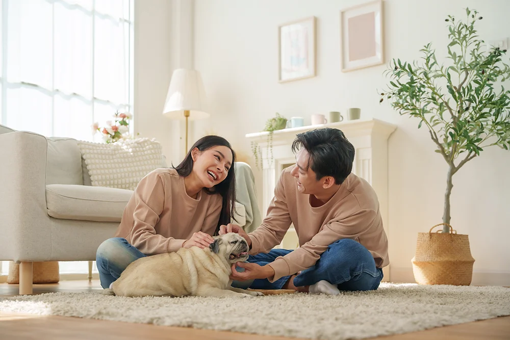 wills and trusts