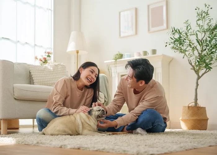 wills and trusts